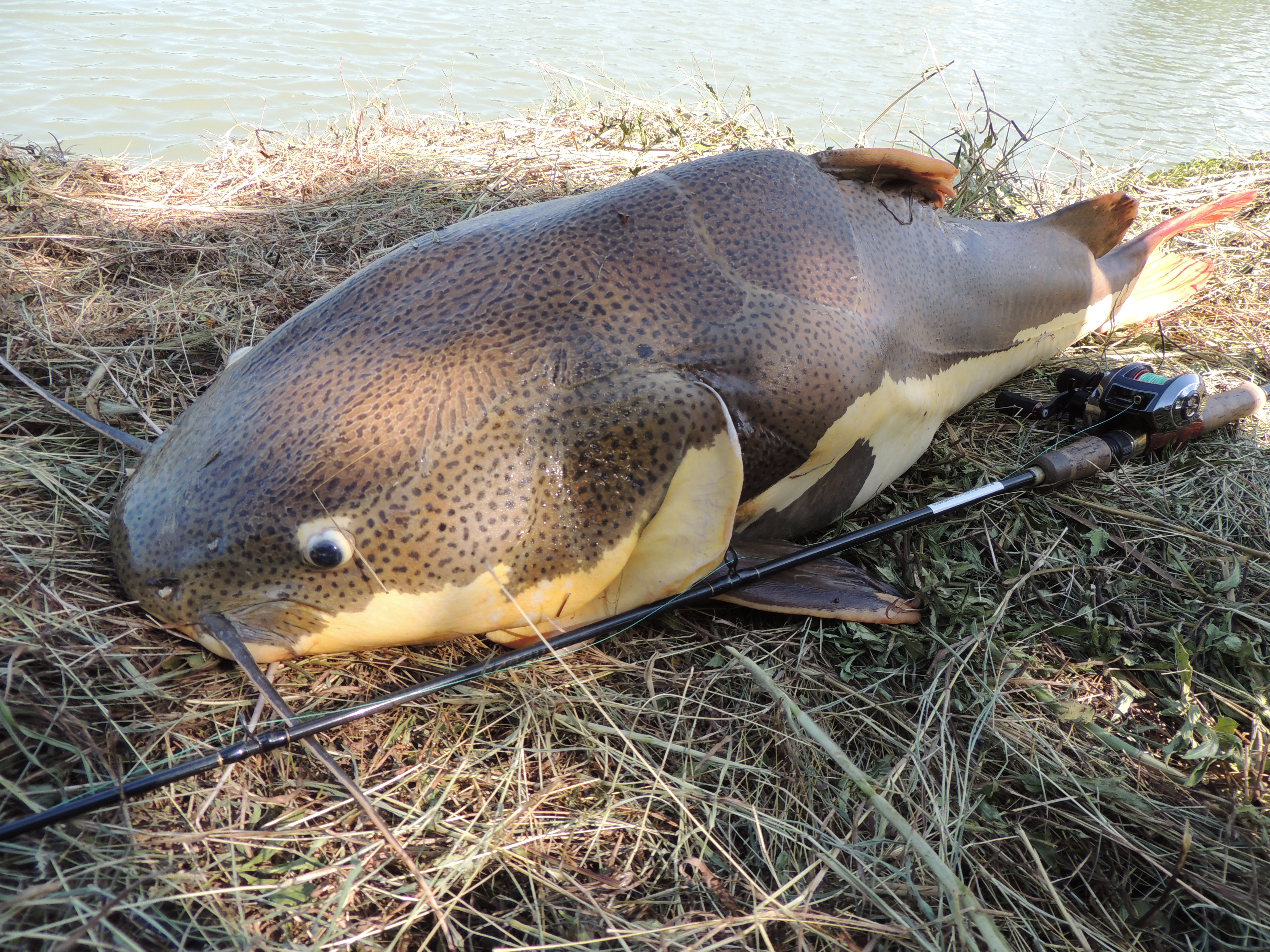 タイ釣行 毎日が冒険